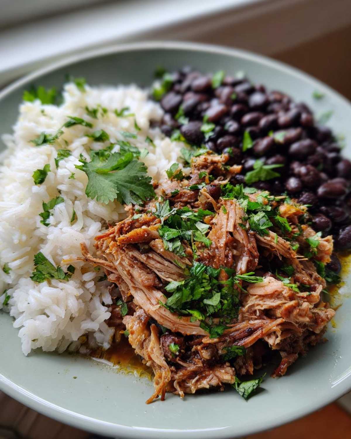 Cuban Mojo Pork with Rice and Beans - detail 1