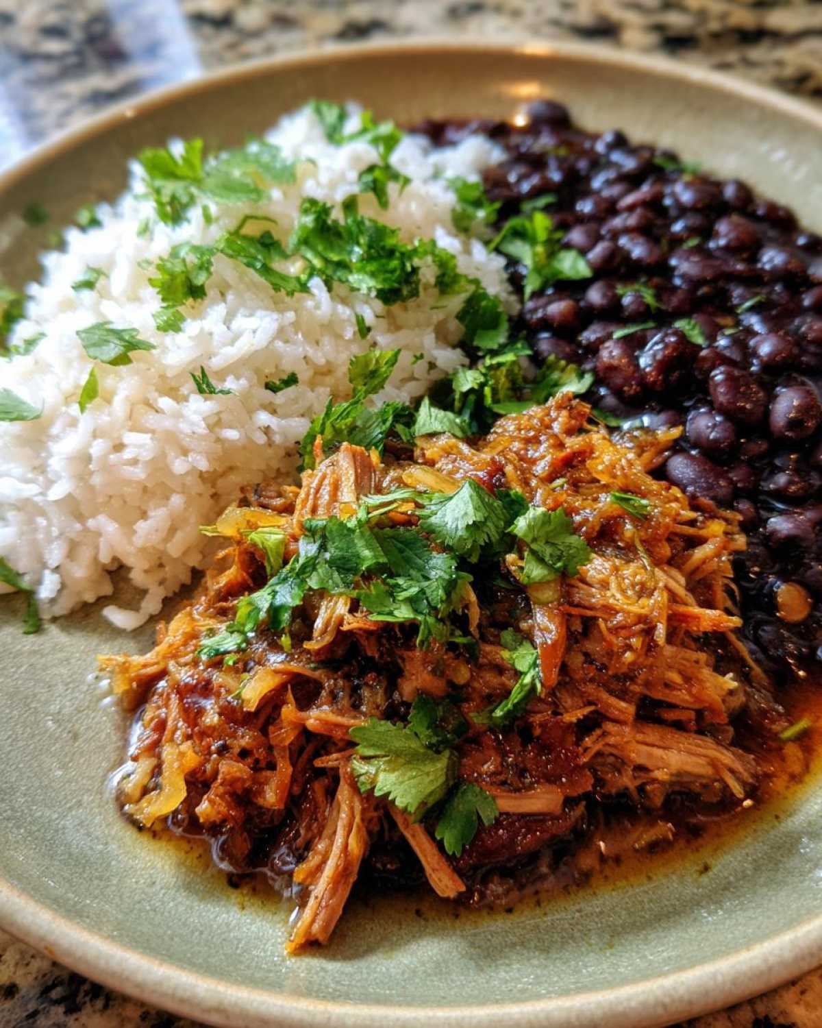 Cuban Mojo Pork with Rice and Beans - detail 2