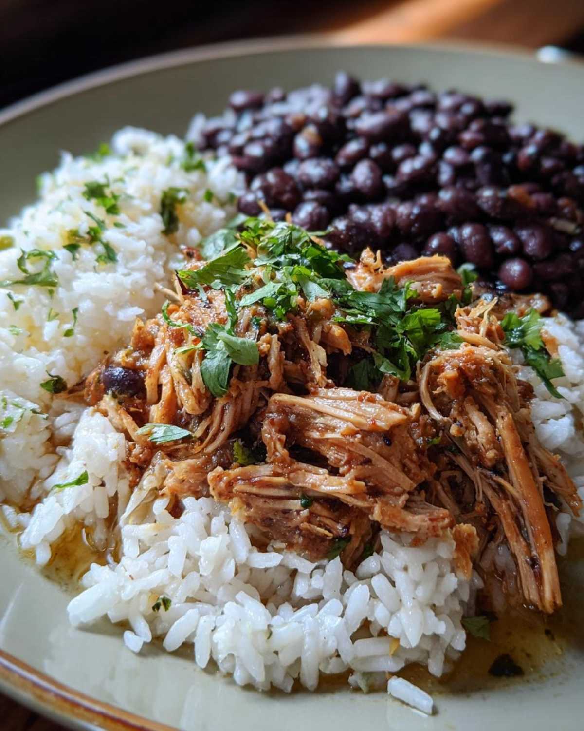Cuban Mojo Pork with Rice and Beans - detail 3