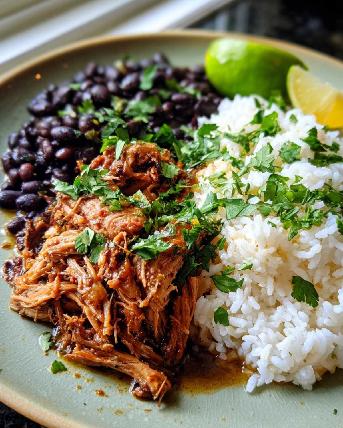 Cuban Mojo Pork with Rice and Beans - detail 4