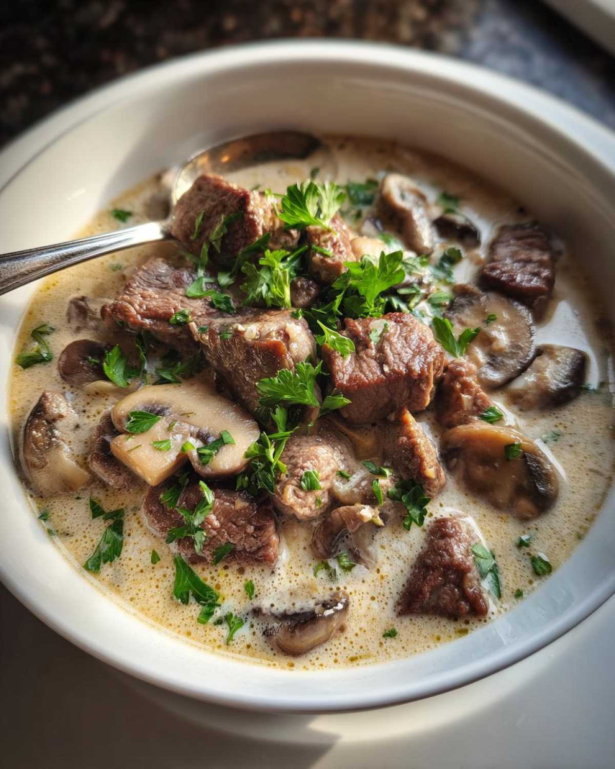 Slow Cooker Beef Stroganoff Soup - detail 3