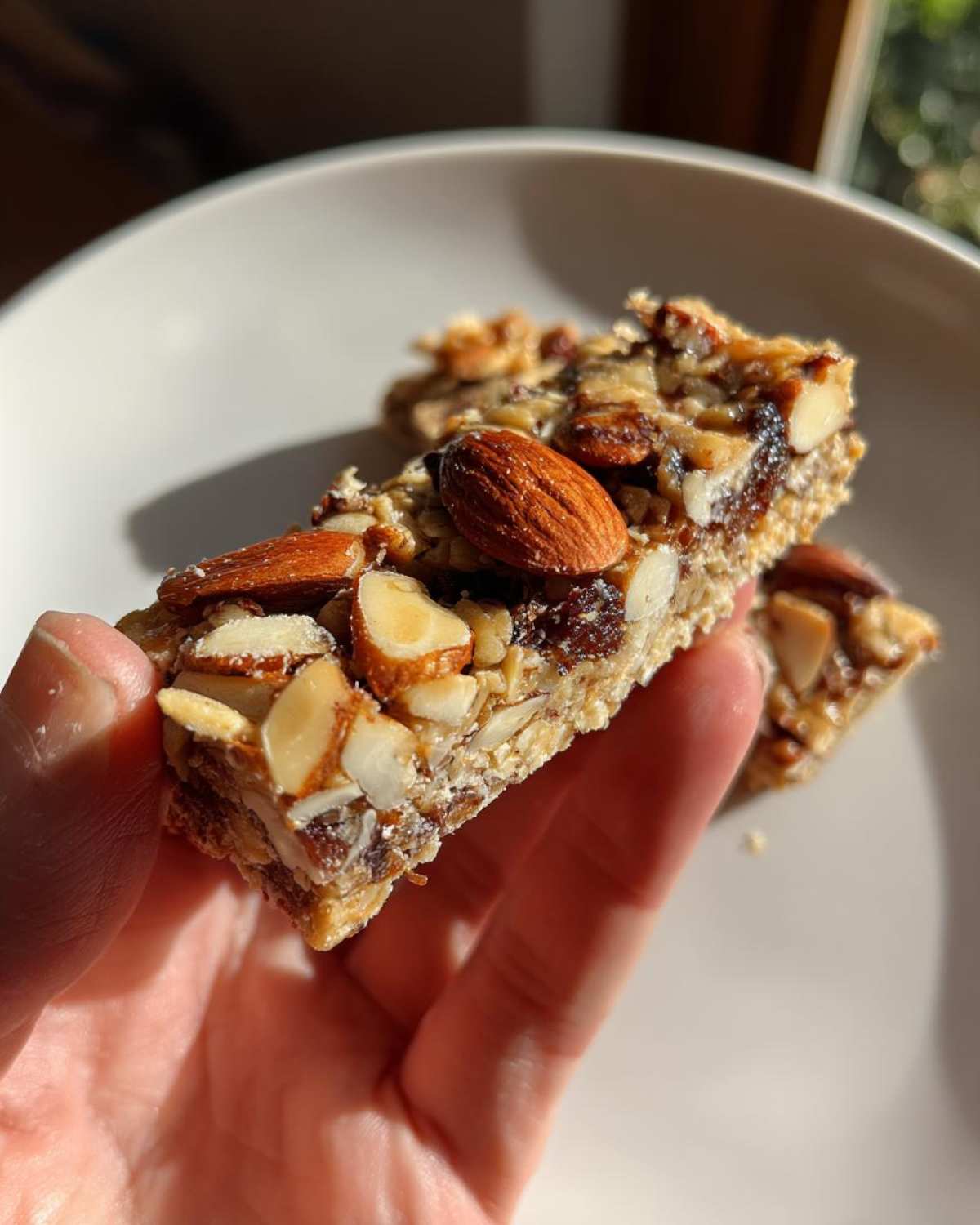 Almond Fig Granola Bars - detail 4