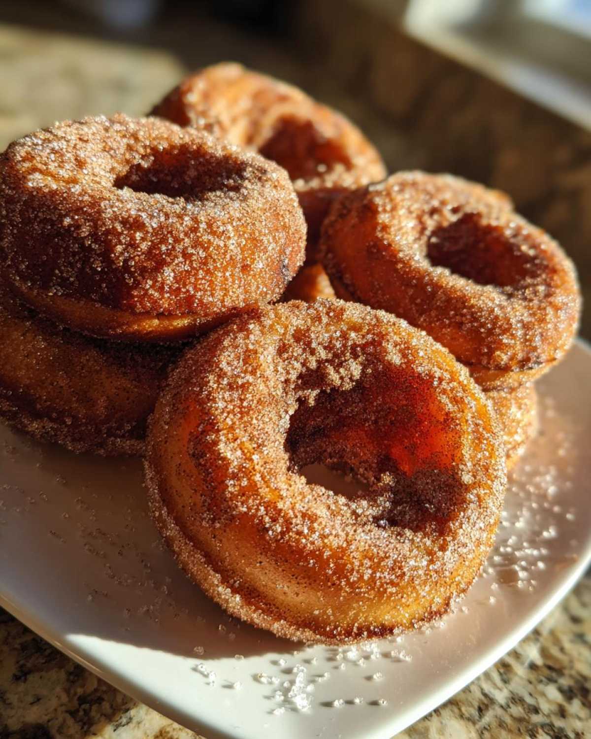 Apple Cider Donuts with Cinnamon Sugar - detail 2