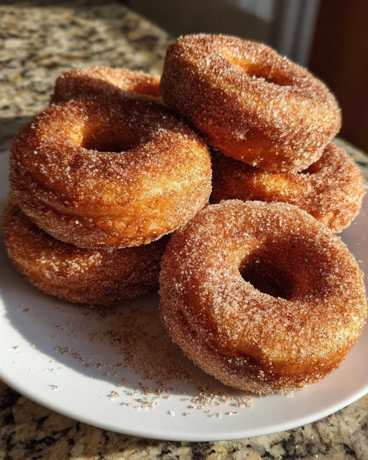 Apple Cider Donuts with Cinnamon Sugar - detail 3