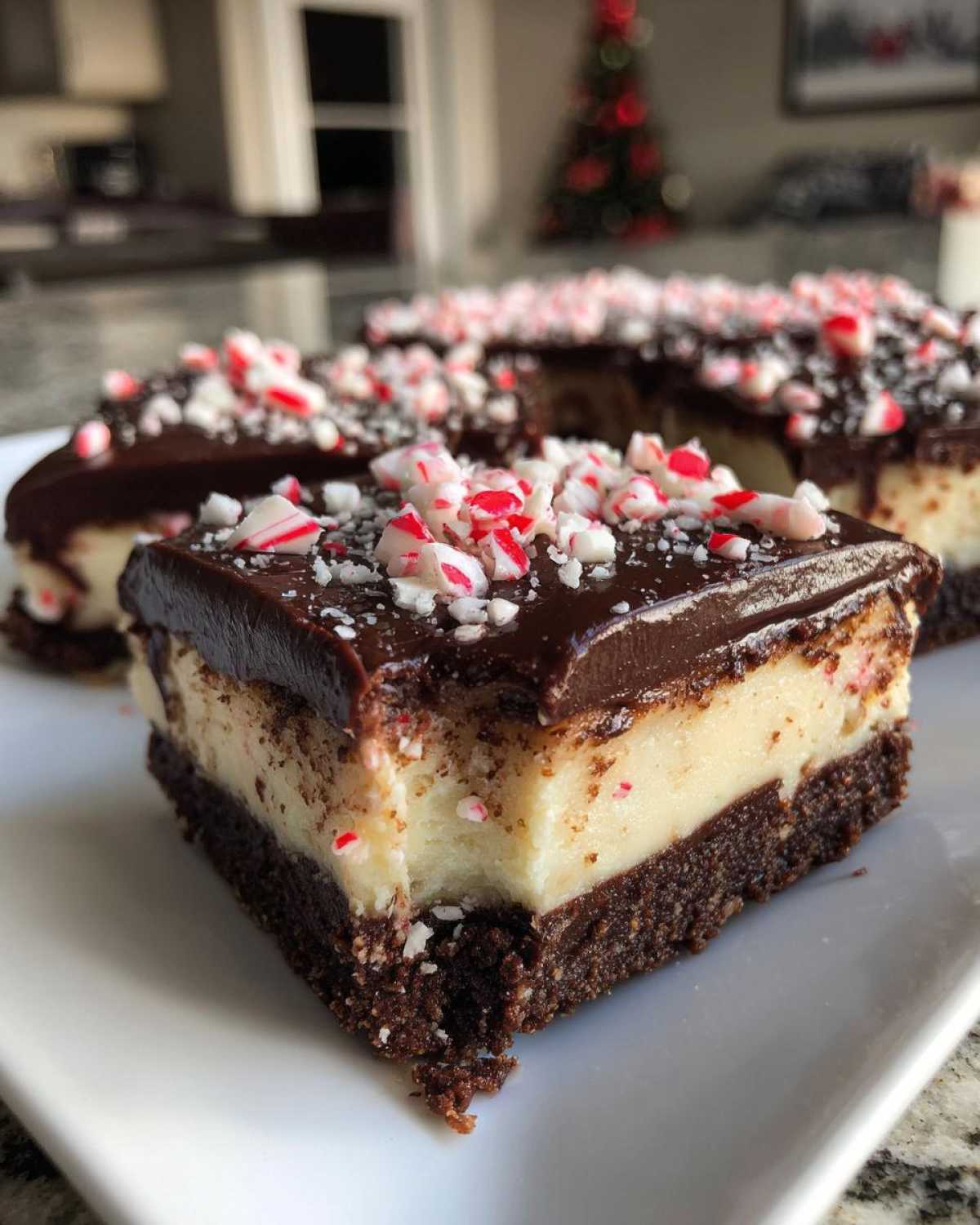 Chocolate Peppermint Cheesecake Bars - detail 2