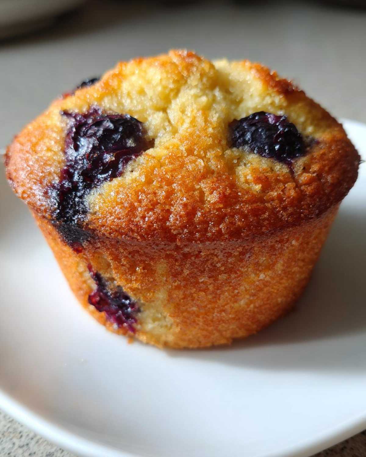Classic blueberry muffins - detail 4