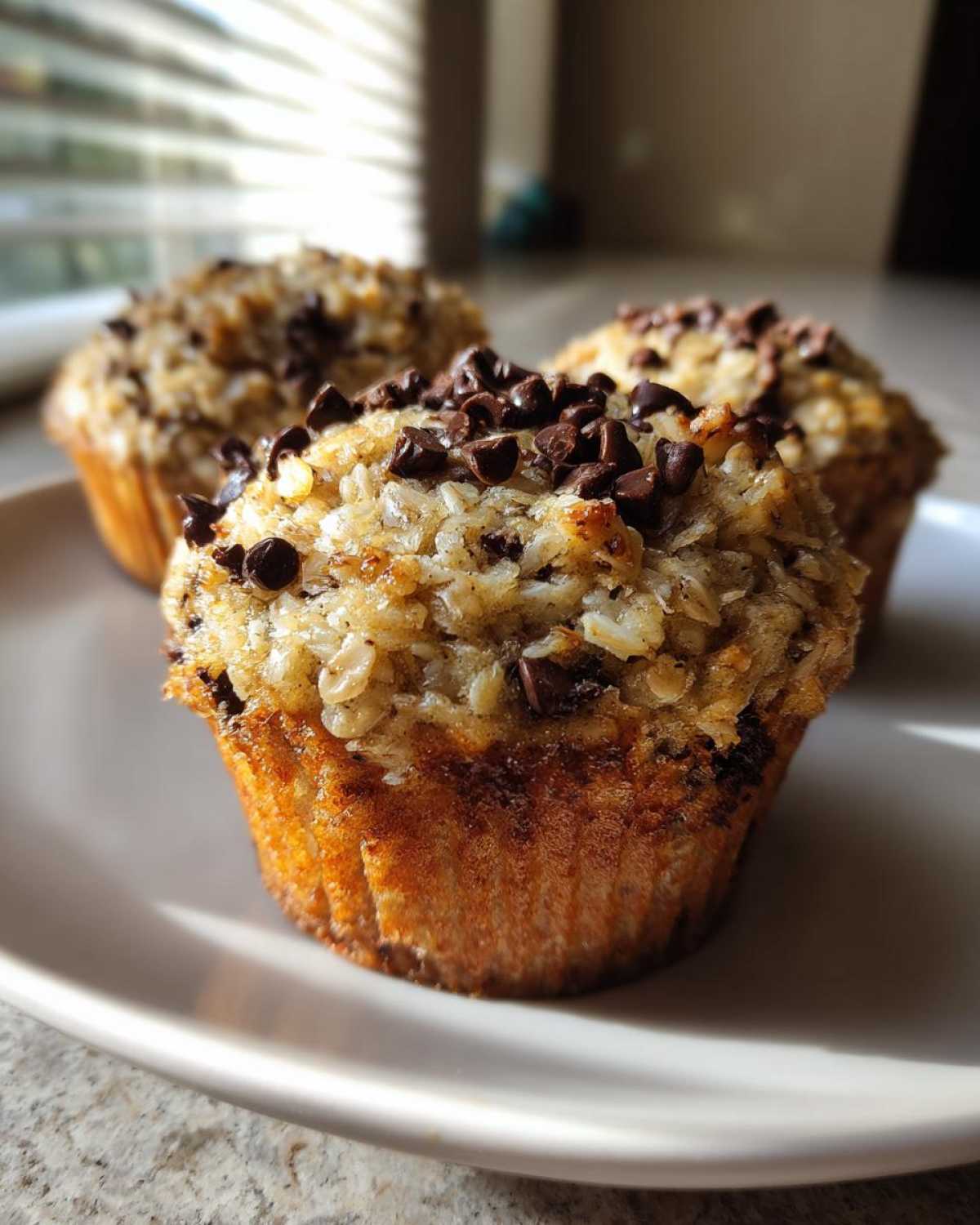 Oatmeal Chocolate Chip Breakfast Muffins - detail 2