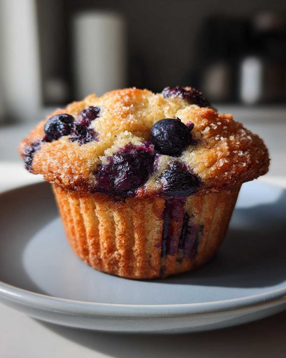 Vegan blueberry muffins - detail 3
