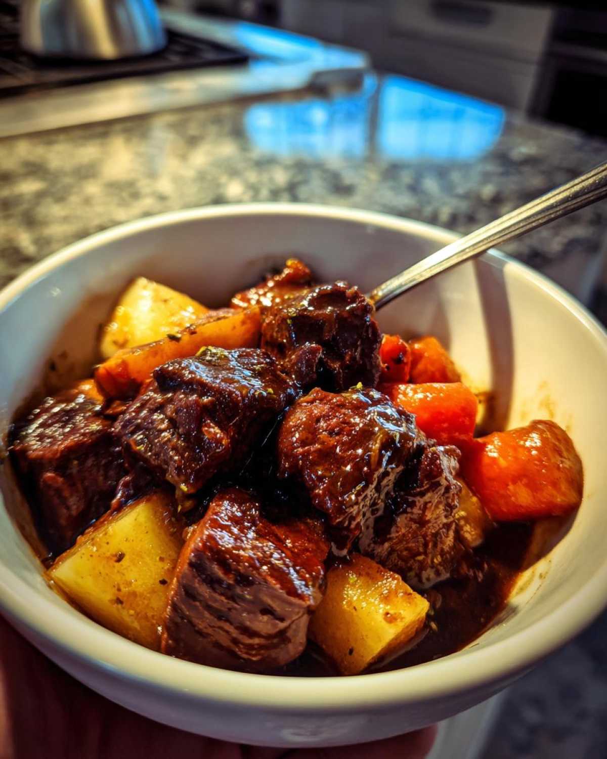 Beef Bourguignon with Root Vegetables - detail 1