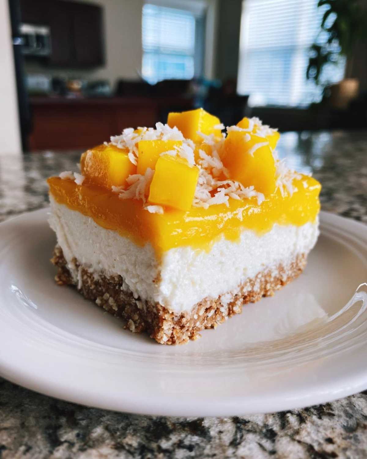 Coconut Mango Chia Cheesecake - detail 2