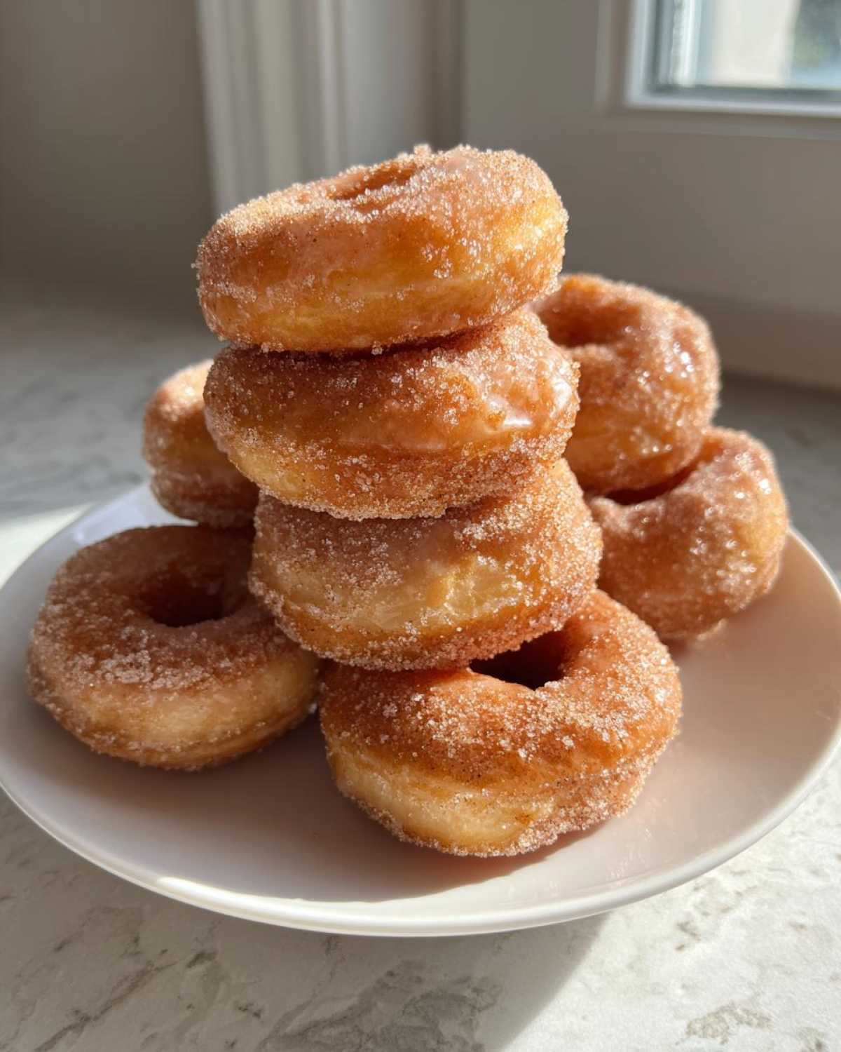 Hot Cinnamon Apple Cider Donuts - detail 2