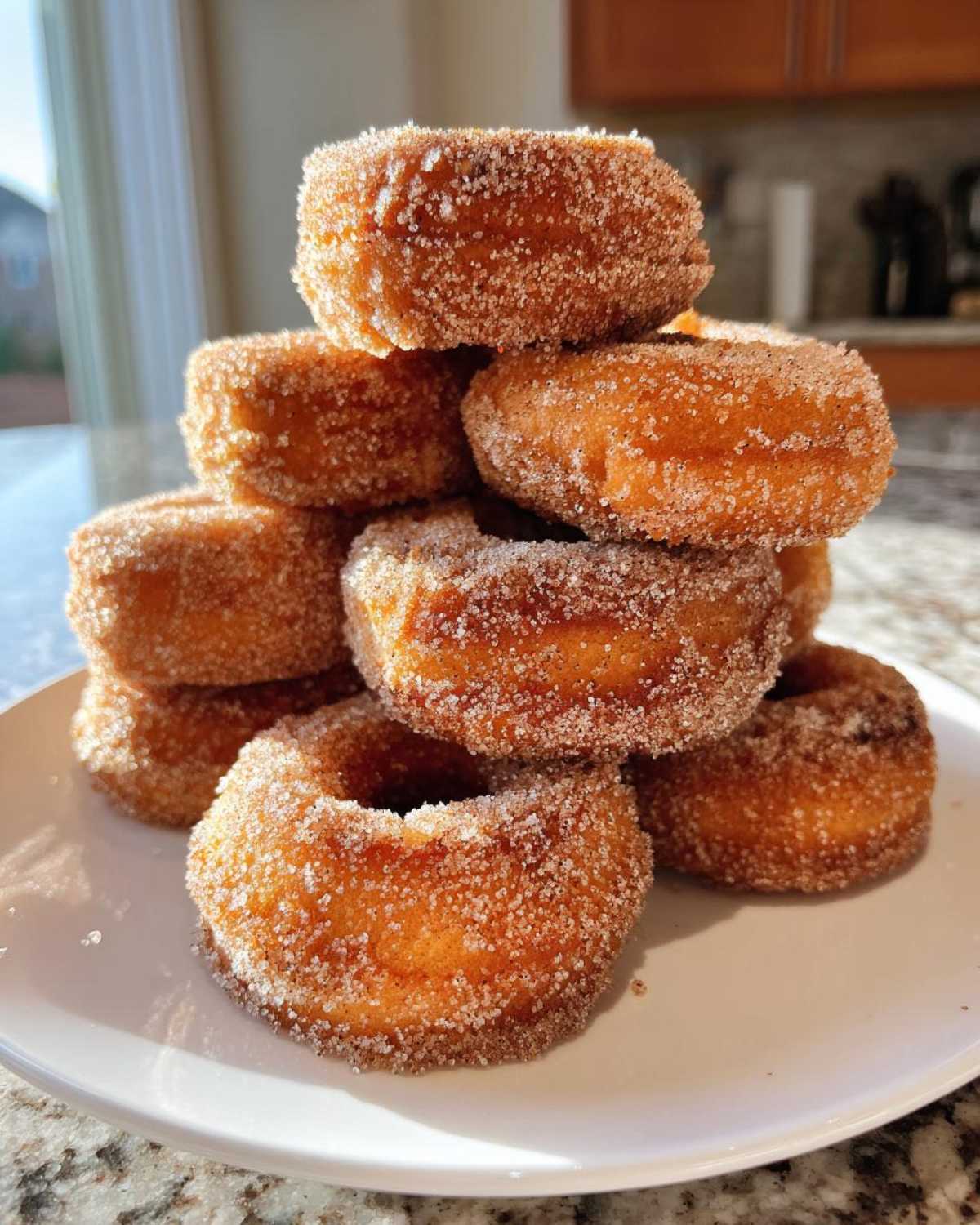 Hot Cinnamon Apple Cider Donuts - detail 3