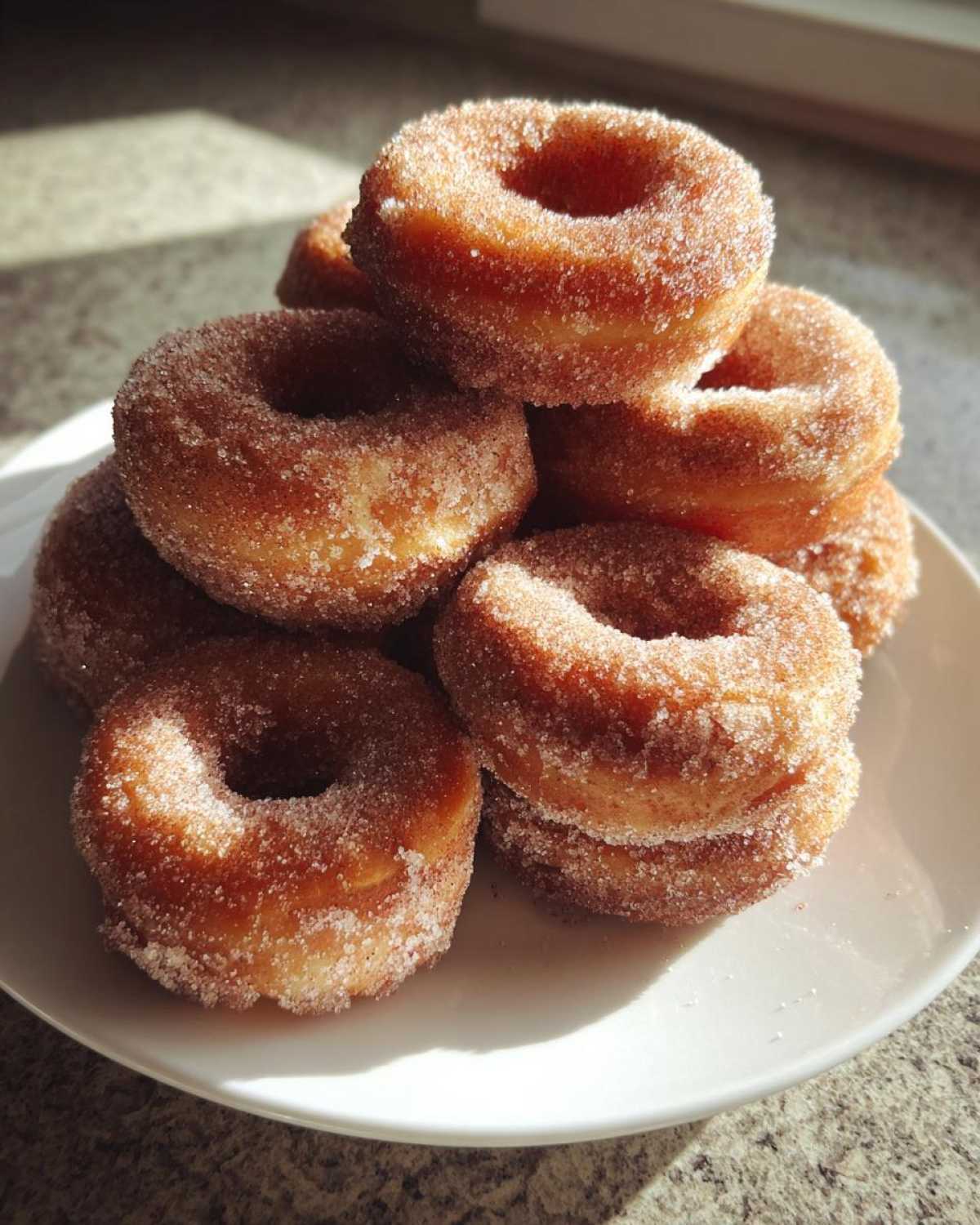 Hot Cinnamon Apple Cider Donuts - detail 4