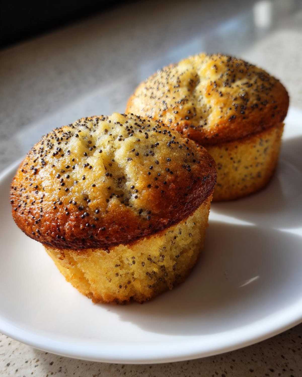Lemon Poppy Seed Muffins (Low Sugar) - detail 2