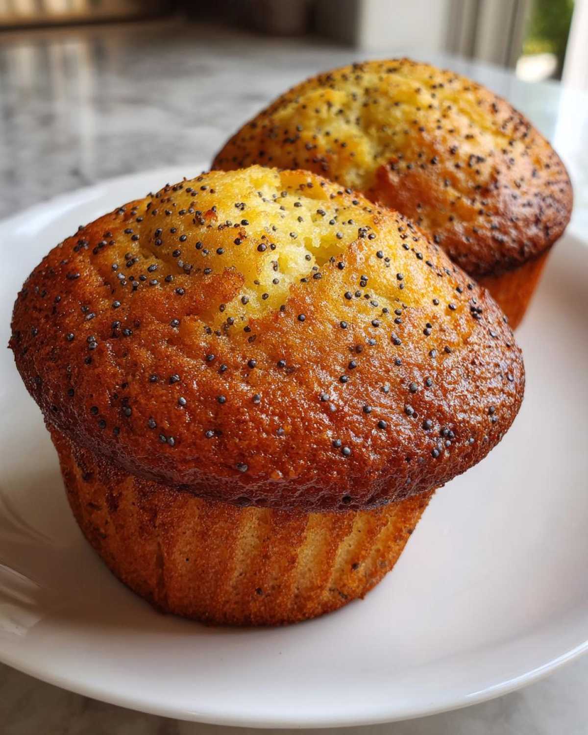 Lemon Poppy Seed Muffins (Low Sugar) - detail 3