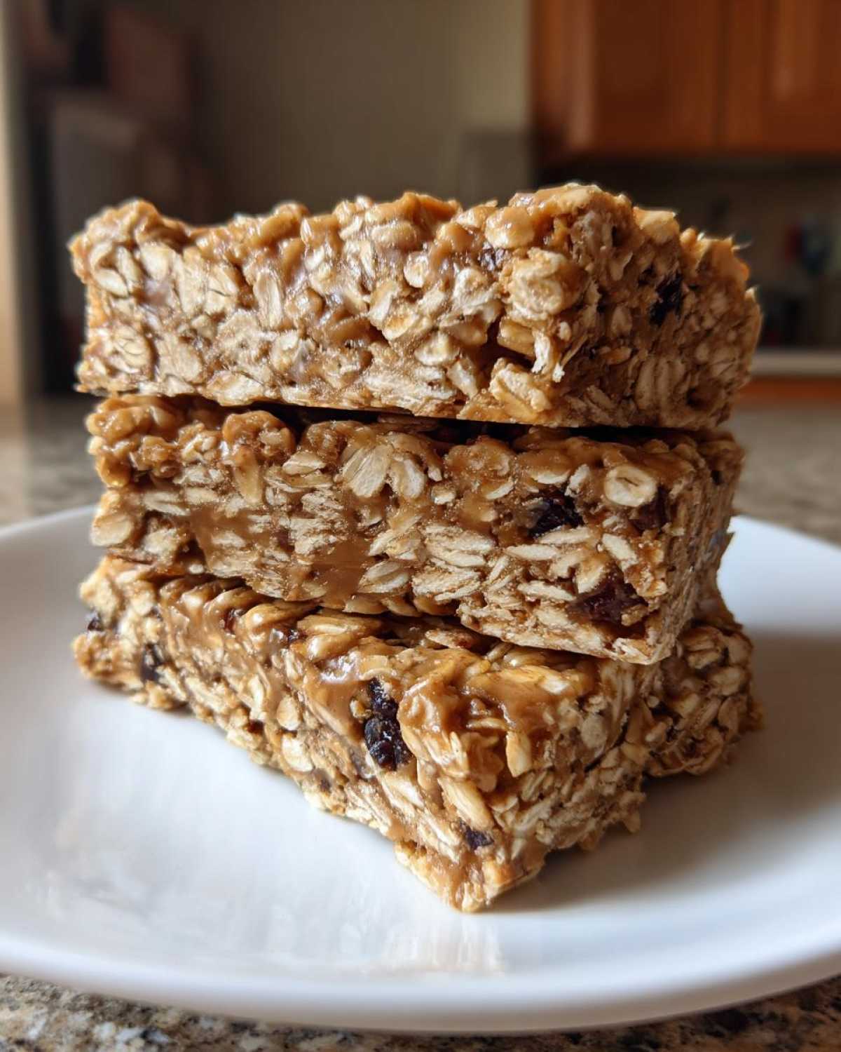 No-Bake Peanut Butter Oat Bars - detail 3