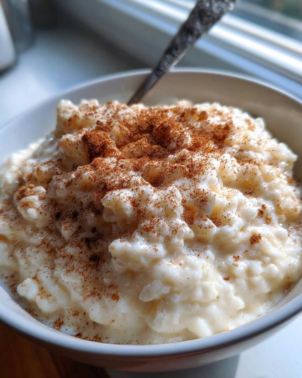 Close-up of creamy rice pudding topped generously with ground cinnamon in a white bowl.