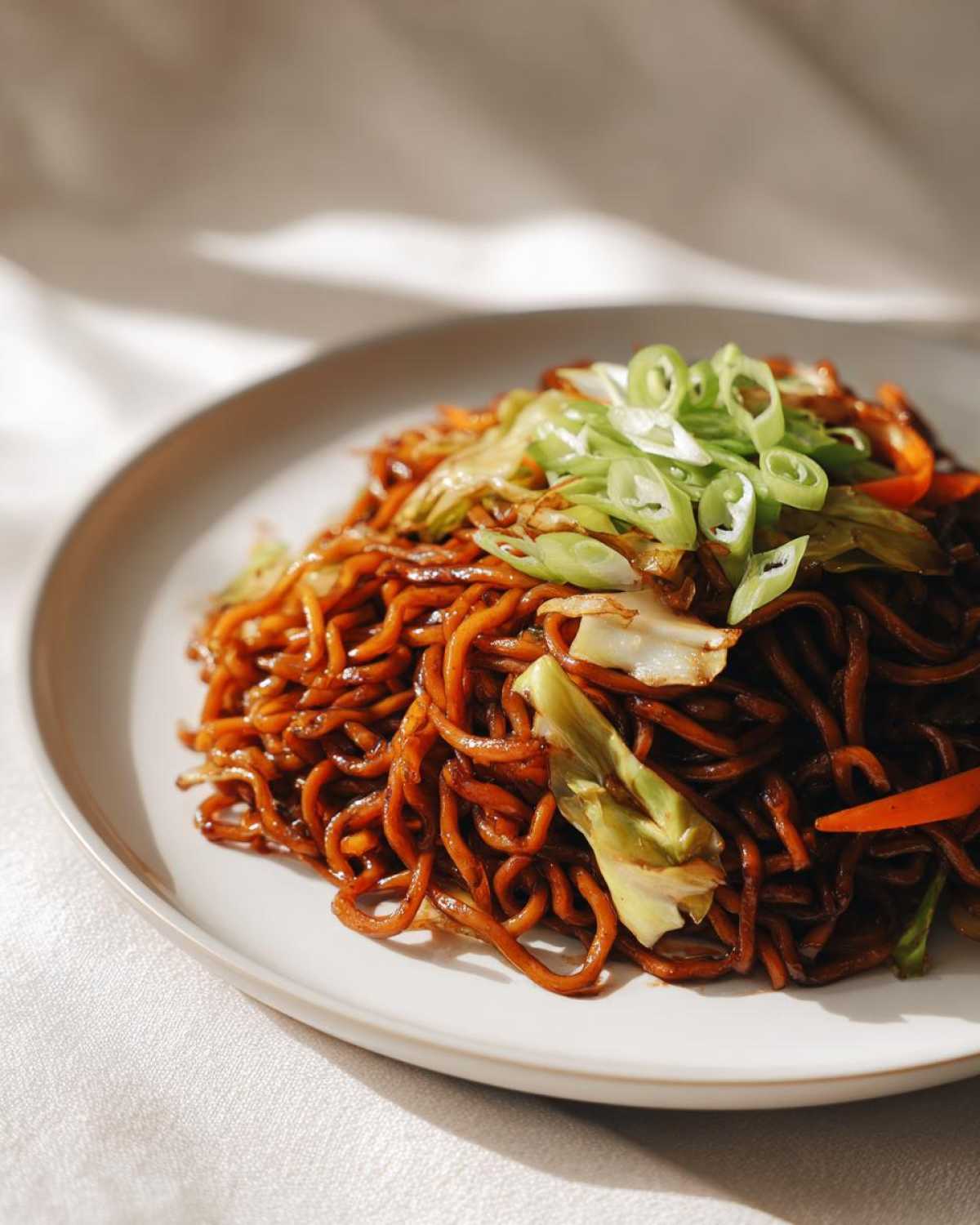 A close-up of dark, savory fried noodles topped with sliced green onions and cabbage.