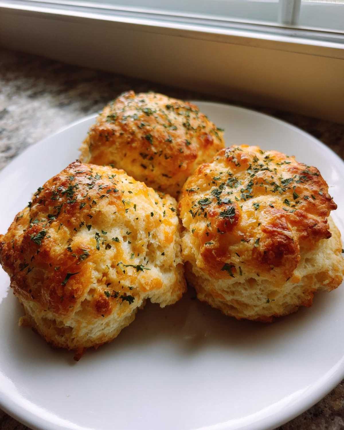 Three fluffy Gluten-Free Garlic Cheddar Biscuits topped with melted cheese and parsley on a white plate.